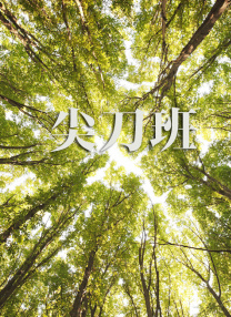 小四郎av收藏家
