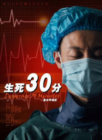 小马宝莉动画片中文版
